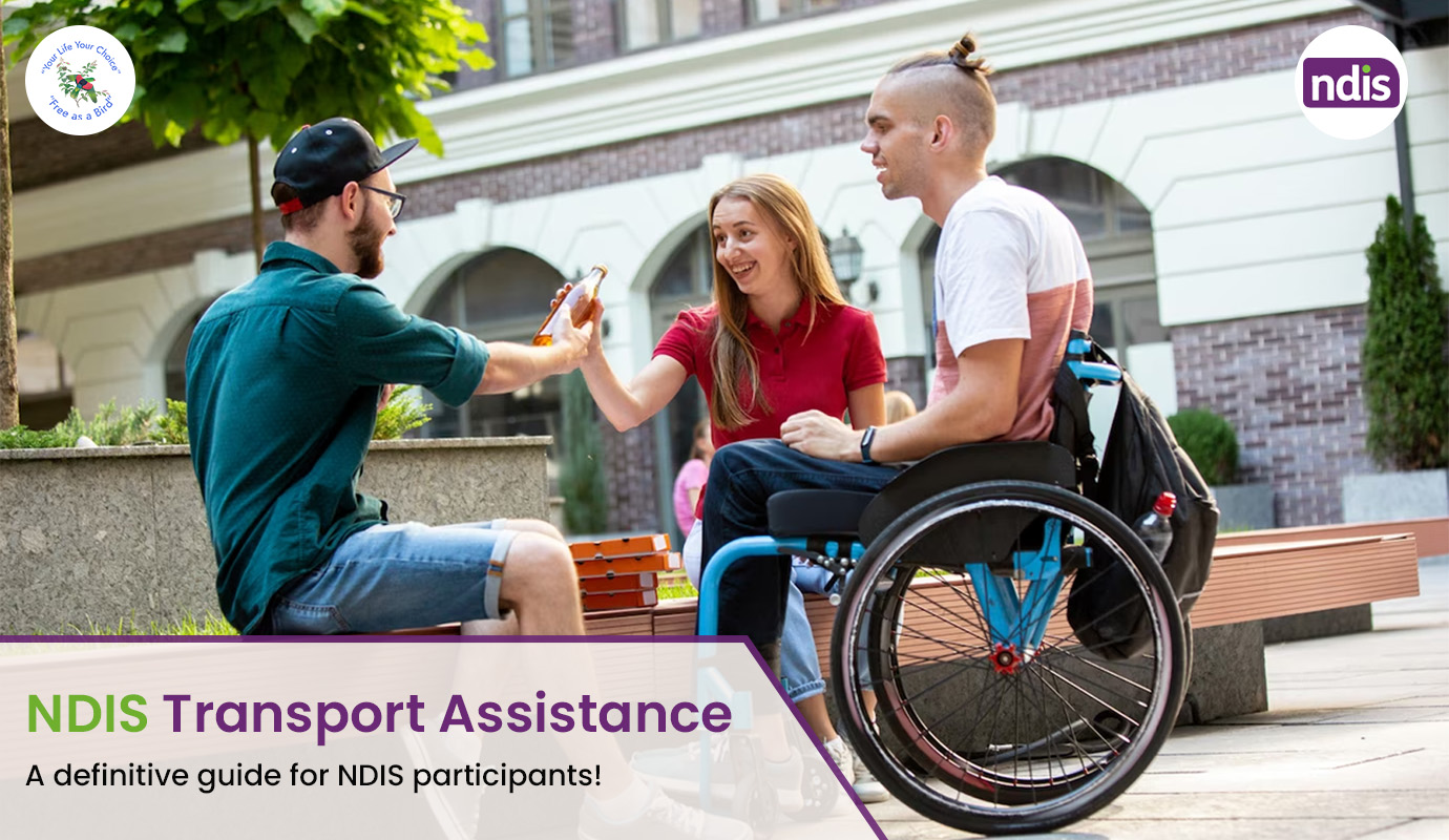 NDIS-transport